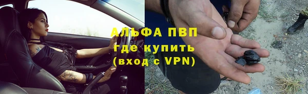 мяу мяу мука Алзамай