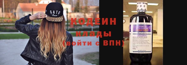 прущие грибы Армянск