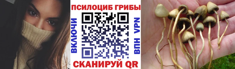 что такое наркотик  Нея  Псилоцибиновые грибы MAGIC MUSHROOMS 